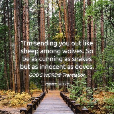 Picture 05 - Matthew 10:16 GW - “I’m sending you out like sheep among wolves. - Bible Verse Picture
