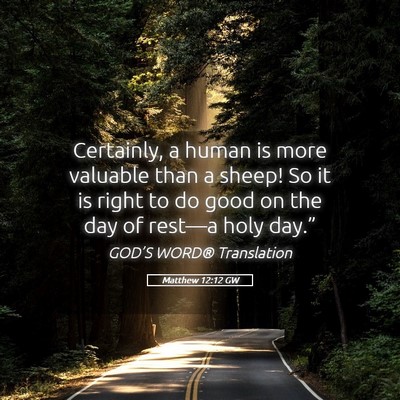 Picture 05 - Matthew 12:12 GW - Certainly, a human is more valuable than a sheep! - Bible Verse Picture