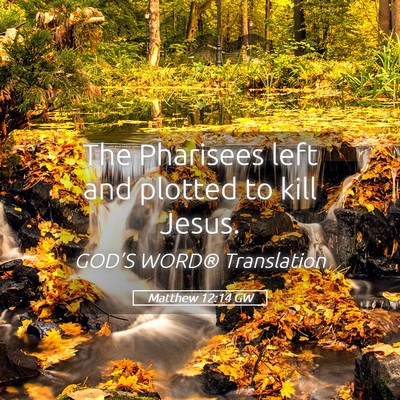 Picture 05 - Matthew 12:14 GW - The Pharisees left and plotted to kill - Bible Verse Picture
