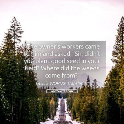 Picture 05 - Matthew 13:27 GW - “The owner’s workers came to him and asked, - Bible Verse Picture