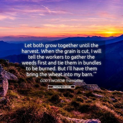 Picture 05 - Matthew 13:30 GW - Let both grow together until the harvest. When - Bible Verse Picture