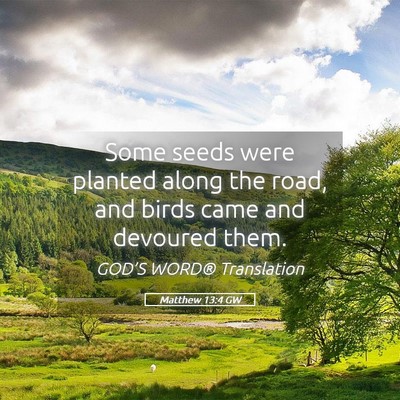 Picture 05 - Matthew 13:4 GW - Some seeds were planted along the road, and birds - Bible Verse Picture