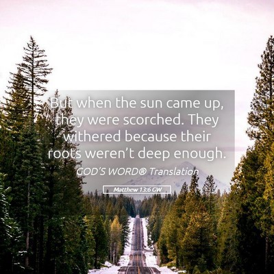 Picture 05 - Matthew 13:6 GW - But when the sun came up, they were scorched. - Bible Verse Picture