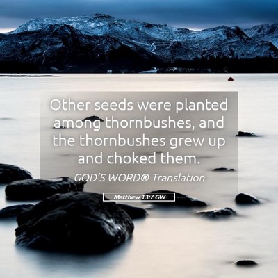 Picture 05 - Matthew 13:7 GW - Other seeds were planted among thornbushes, and - Bible Verse Picture
