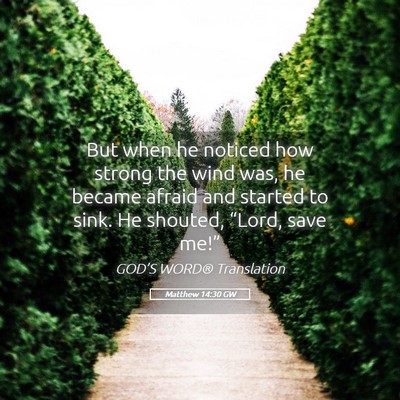 Picture 05 - Matthew 14:30 GW - But when he noticed how strong the wind was, he - Bible Verse Picture
