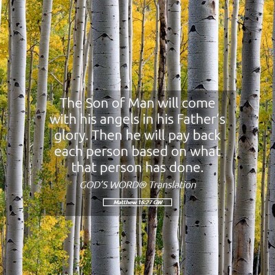 Picture 05 - Matthew 16:27 GW - The Son of Man will come with his angels in his - Bible Verse Picture