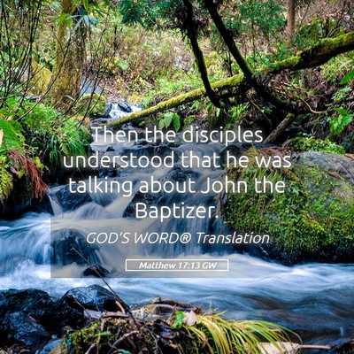 Picture 05 - Matthew 17:13 GW - Then the disciples understood that he was talking - Bible Verse Picture