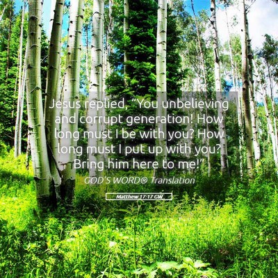 Picture 05 - Matthew 17:17 GW - Jesus replied, “You unbelieving and corrupt - Bible Verse Picture