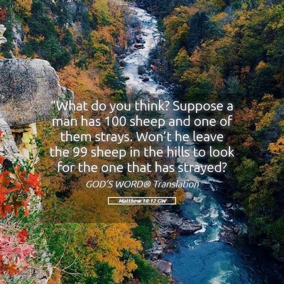 Picture 05 - Matthew 18:12 GW - “What do you think? Suppose a man has 100 sheep - Bible Verse Picture