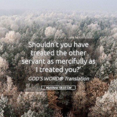Picture 05 - Matthew 18:33 GW - Shouldn’t you have treated the other servant as - Bible Verse Picture
