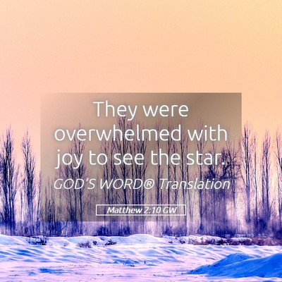 Picture 05 - Matthew 2:10 GW - They were overwhelmed with joy to see the - Bible Verse Picture