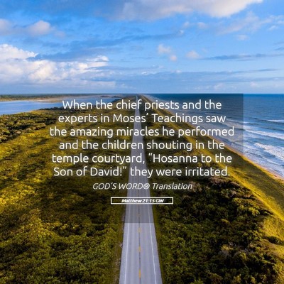 Picture 05 - Matthew 21:15 GW - When the chief priests and the experts in - Bible Verse Picture