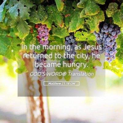 Picture 05 - Matthew 21:18 GW - In the morning, as Jesus returned to the city, he - Bible Verse Picture