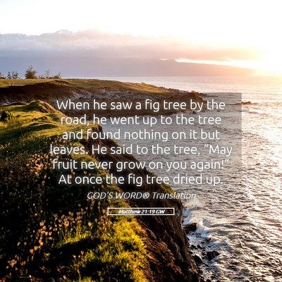 Picture 05 - Matthew 21:19 GW - When he saw a fig tree by the road, he went up to - Bible Verse Picture