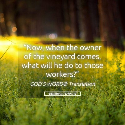 Picture 05 - Matthew 21:40 GW - “Now, when the owner of the vineyard comes, - Bible Verse Picture