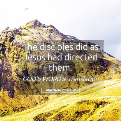 Picture 05 - Matthew 21:6 GW - The disciples did as Jesus had directed - Bible Verse Picture