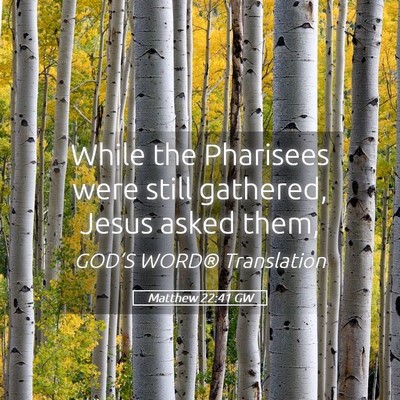 Picture 05 - Matthew 22:41 GW - While the Pharisees were still gathered, Jesus - Bible Verse Picture