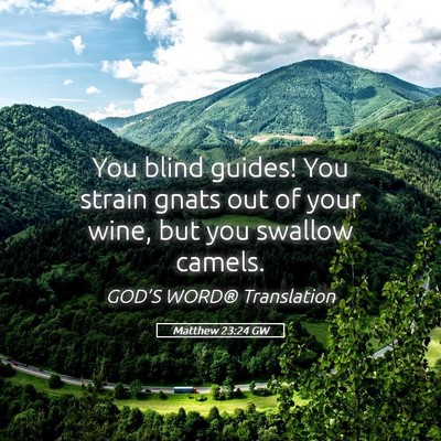 Picture 05 - Matthew 23:24 GW - You blind guides! You strain gnats out of your - Bible Verse Picture