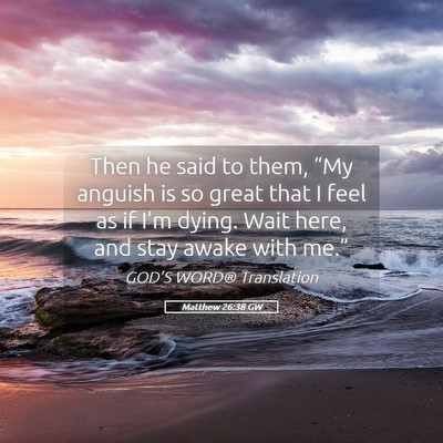 Picture 05 - Matthew 26:38 GW - Then he said to them, “My anguish is so great - Bible Verse Picture