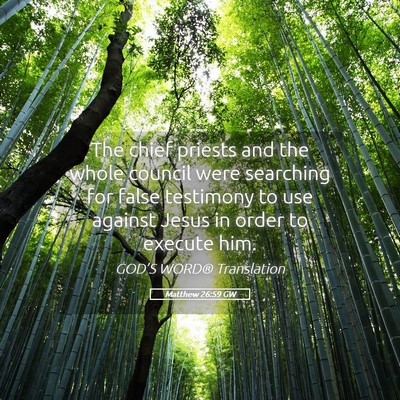 Picture 05 - Matthew 26:59 GW - The chief priests and the whole council were - Bible Verse Picture
