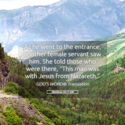 Picture 05 - Matthew 26:71 GW - As he went to the entrance, another female - Bible Verse Picture
