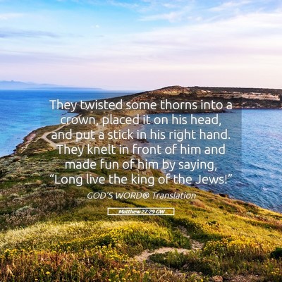 Picture 05 - Matthew 27:29 GW - They twisted some thorns into a crown, placed it - Bible Verse Picture