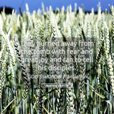 Picture 05 - Matthew 28:8 GW - They hurried away from the tomb with fear and - Bible Verse Picture
