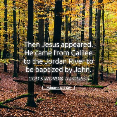 Picture 05 - Matthew 3:13 GW - Then Jesus appeared. He came from Galilee to the - Bible Verse Picture
