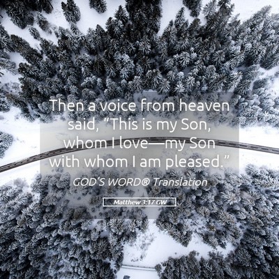 Picture 05 - Matthew 3:17 GW - Then a voice from heaven said, “This is my Son, - Bible Verse Picture