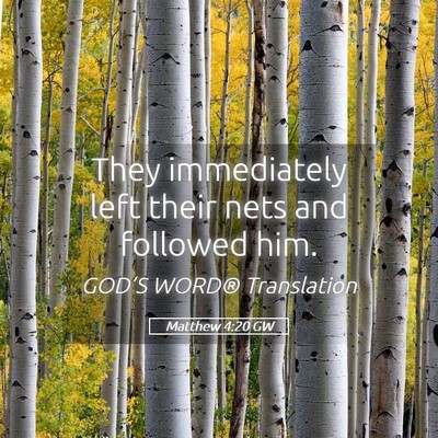 Picture 05 - Matthew 4:20 GW - They immediately left their nets and followed - Bible Verse Picture