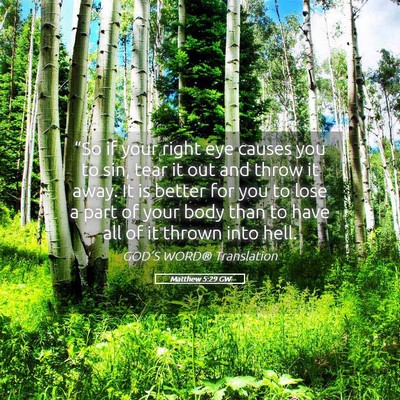 Picture 05 - Matthew 5:29 GW - “So if your right eye causes you to sin, tear - Bible Verse Picture