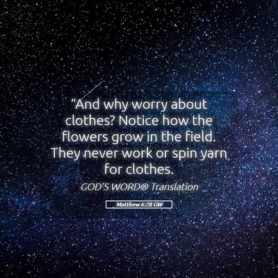 Picture 05 - Matthew 6:28 GW - “And why worry about clothes? Notice how the - Bible Verse Picture