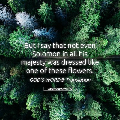 Picture 05 - Matthew 6:29 GW - But I say that not even Solomon in all his - Bible Verse Picture
