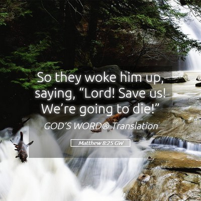 Picture 05 - Matthew 8:25 GW - So they woke him up, saying, “Lord! Save us! - Bible Verse Picture
