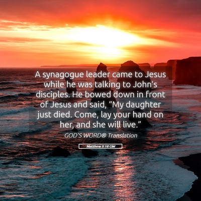 Picture 05 - Matthew 9:18 GW - A synagogue leader came to Jesus while he was - Bible Verse Picture