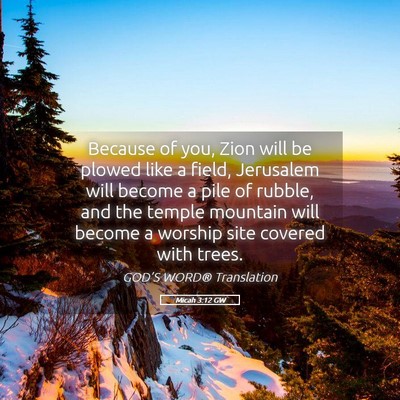 Picture 05 - Micah 3:12 GW - Because of you, Zion will be plowed like a field, - Bible Verse Picture