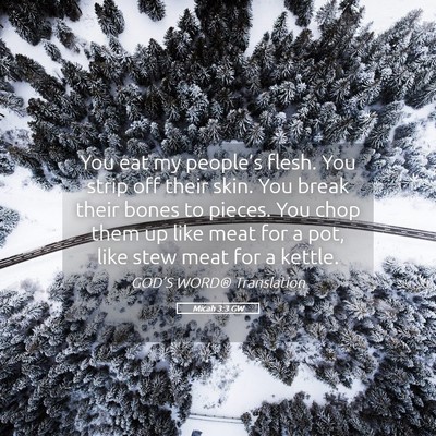 Picture 05 - Micah 3:3 GW - You eat my people’s flesh. You strip off their - Bible Verse Picture