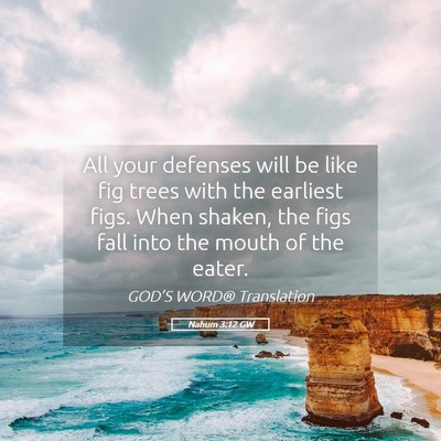 Picture 05 - Nahum 3:12 GW - All your defenses will be like fig trees with the - Bible Verse Picture