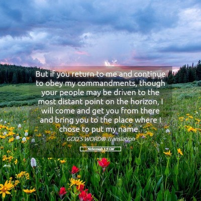 Picture 05 - Nehemiah 1:9 GW - But if you return to me and continue to obey my - Bible Verse Picture