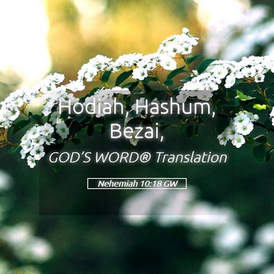 Picture 05 - Nehemiah 10:18 GW - Hodiah, Hashum, - Bible Verse Picture