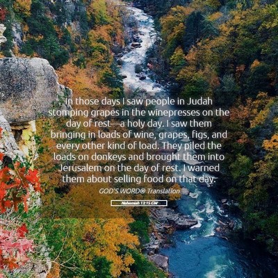 Picture 05 - Nehemiah 13:15 GW - In those days I saw people in Judah stomping - Bible Verse Picture