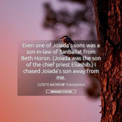 Picture 05 - Nehemiah 13:28 GW - Even one of Joiada’s sons was a son-in-law of - Bible Verse Picture