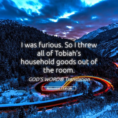 Picture 05 - Nehemiah 13:8 GW - I was furious. So I threw all of Tobiah’s - Bible Verse Picture