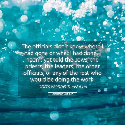 Picture 05 - Nehemiah 2:16 GW - The officials didn’t know where I had gone or - Bible Verse Picture