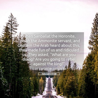 Picture 05 - Nehemiah 2:19 GW - When Sanballat the Horonite, Tobiah the Ammonite - Bible Verse Picture