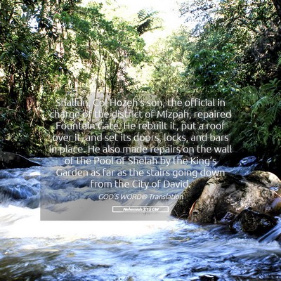 Picture 05 - Nehemiah 3:15 GW - Shallun, Col Hozeh’s son, the official in - Bible Verse Picture