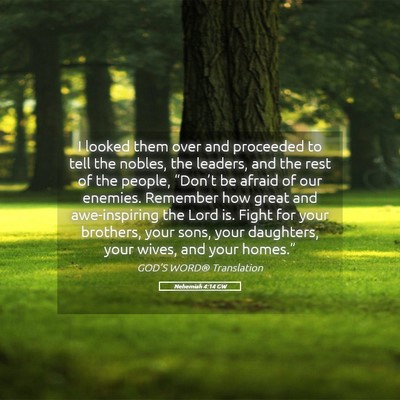 Picture 05 - Nehemiah 4:14 GW - I looked them over and proceeded to tell the - Bible Verse Picture