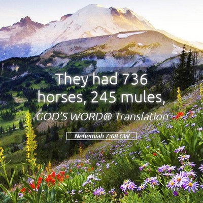 Picture 05 - Nehemiah 7:68 GW - They had 736 horses, 245 - Bible Verse Picture