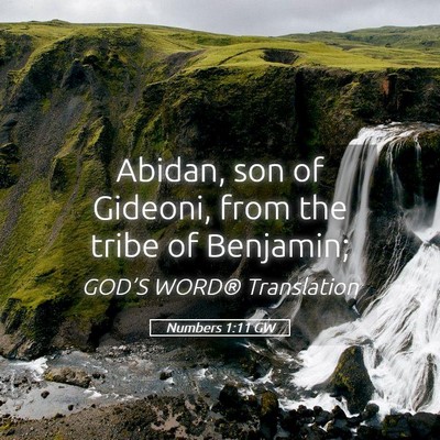 Picture 05 - Numbers 1:11 GW - Abidan, son of Gideoni, from the tribe of - Bible Verse Picture