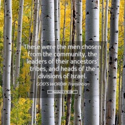 Picture 05 - Numbers 1:16 GW - These were the men chosen from the community, the - Bible Verse Picture